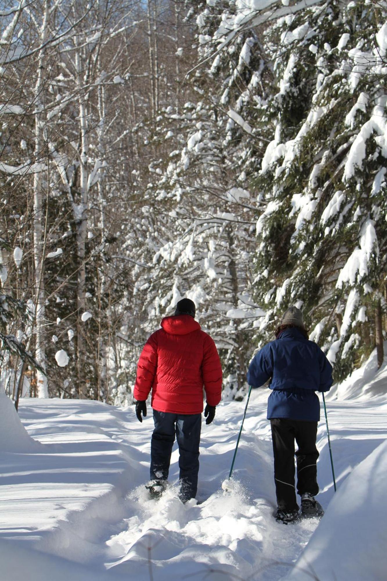 Les Cabanes Du Trappeur Wentworth-Nord ภายนอก รูปภาพ