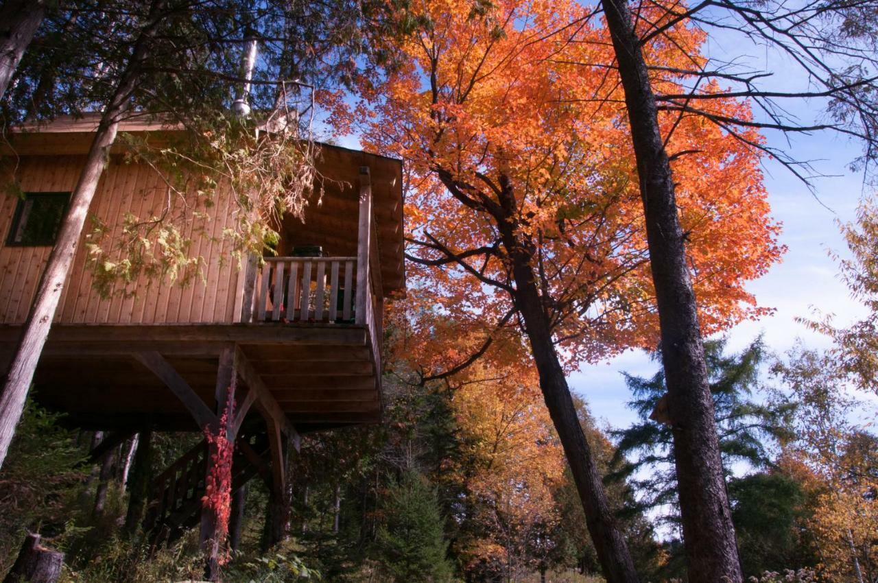Les Cabanes Du Trappeur Wentworth-Nord ภายนอก รูปภาพ